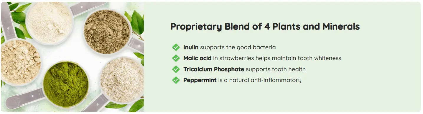 prodentim ingredients